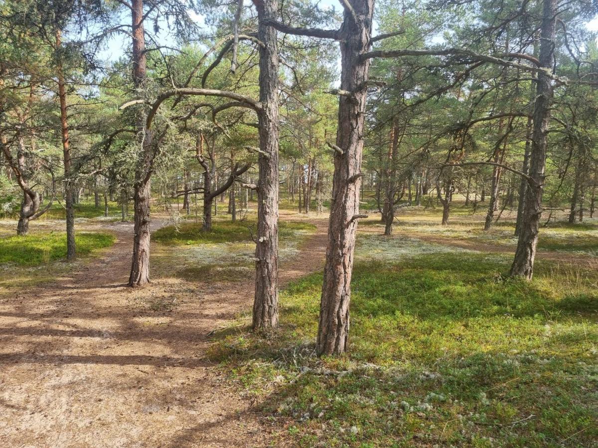 Norwegian Saunahouse Haapse Екстериор снимка