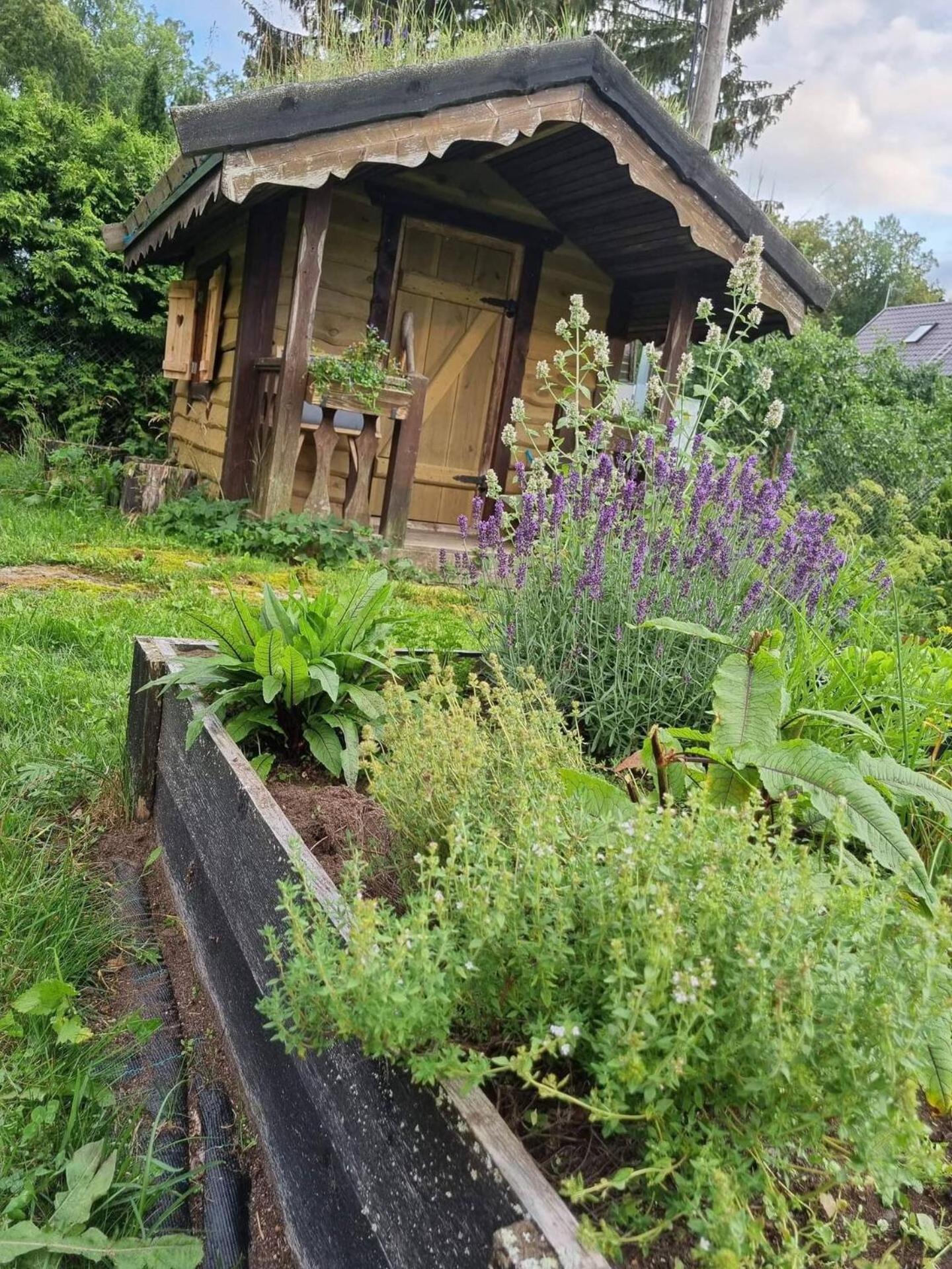 Norwegian Saunahouse Haapse Екстериор снимка