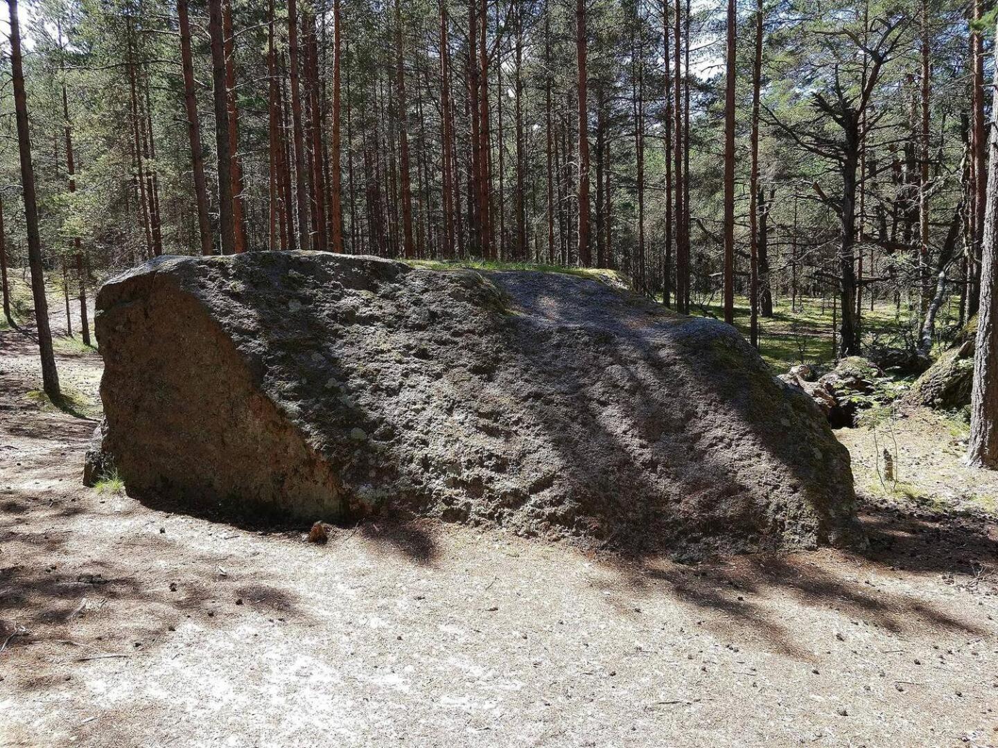Norwegian Saunahouse Haapse Екстериор снимка
